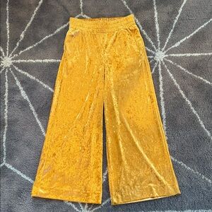 Golden Velvet Wide Leg Pants, Size Small
